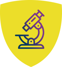 Curriculum Icon
